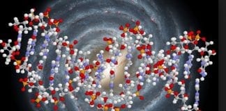 L’Ascension Cellulaire est à Nos Portes